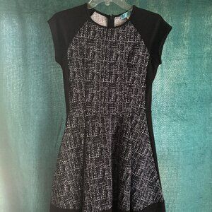 Francesca's dina be Skater Fit and Flare Dress